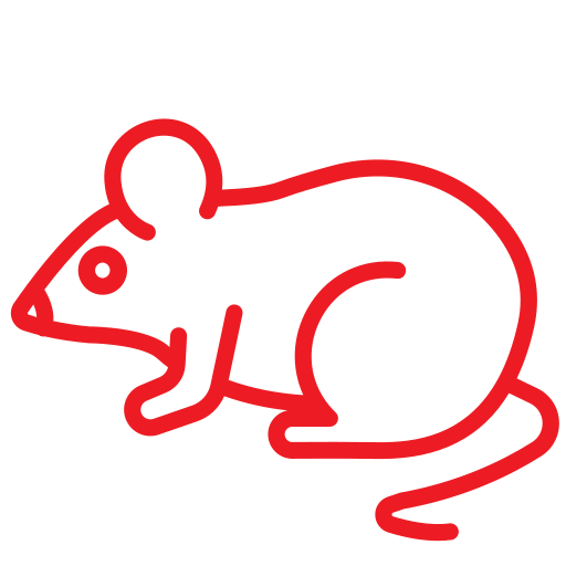 Trusted_Pest_Control_Rats